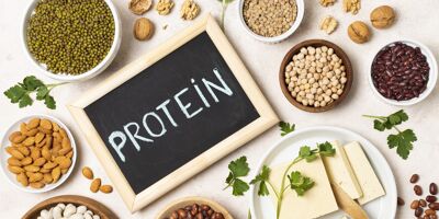 Options végétales : Protéines pour végétariens