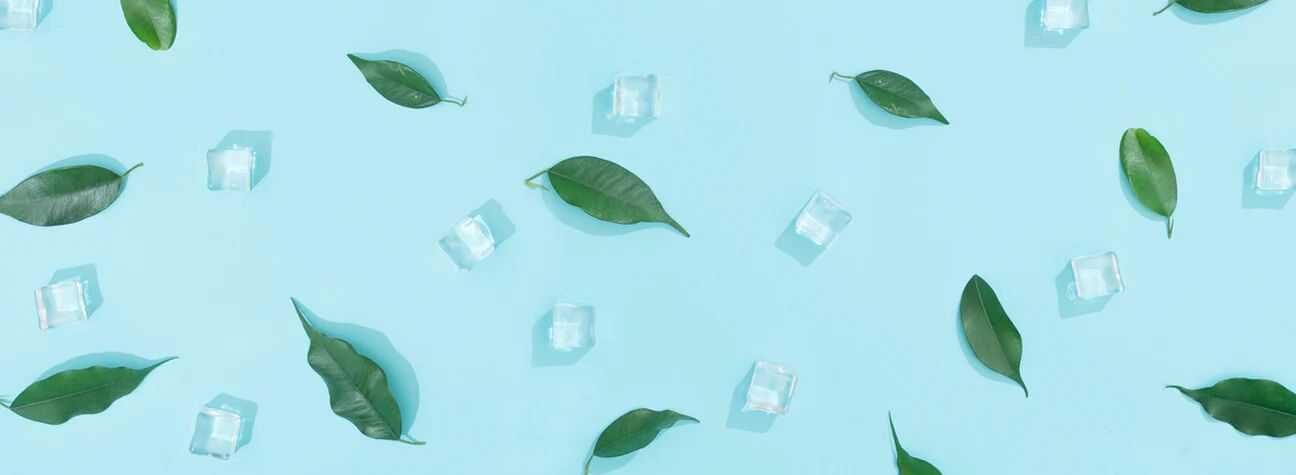 Green leaves surrounded by ice cubes on a blue background.